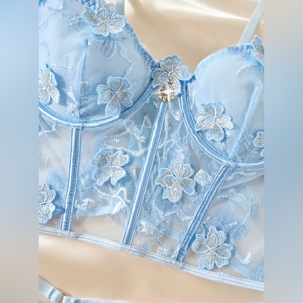 Gigi Angelic Blue Floral Embroidered Mesh Corset Bustier + Thong + Garter Set - Picture 10 of 10